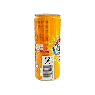Boga Cidre - EINWEG ( zzgl. 0,25 € Pfand) 24X 240ml Dose